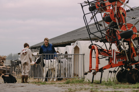 Child bottle-feeding a calf on a farm in North Brabant, Netherlands, with an adult, cats, and machinery.