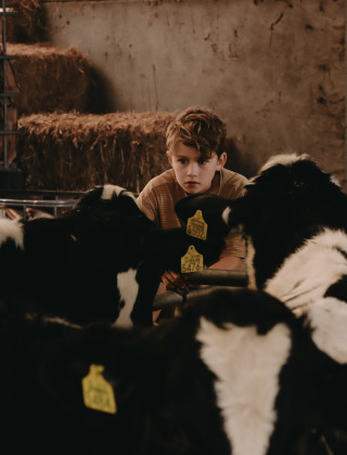 Een jongen kijkt naar koeien in een schuur bij Feather Down De Oude Melkstal in Noord-Brabant, Nederland.