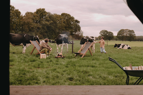 Two people relaxing on deck chairs among grazing cows in a field at Feather Down De Oude Melkstal, Netherlands.