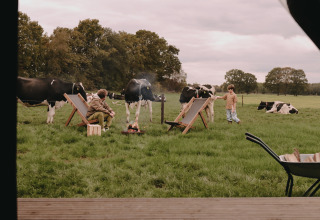Two people relaxing on deck chairs among grazing cows in a field at Feather Down De Oude Melkstal, Netherlands.