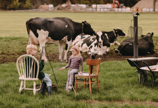 Twee kinderen roosteren marshmallows aan een vuur, omringd door koeien, bij Feather Down De Oude Melkstal.