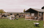 Famiglie in vacanza rurale presso Feather Down De Oude Melkstal, Brabante Settentrionale, Paesi Bassi, tra mucche.