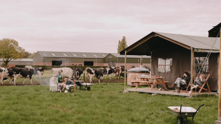 Gezinnen genieten van een boerderijvakantie bij Feather Down De Oude Melkstal in Noord-Brabant, Nederland.
