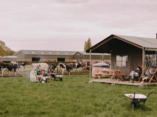 Gezinnen genieten van een boerderijvakantie bij Feather Down De Oude Melkstal in Noord-Brabant, Nederland.