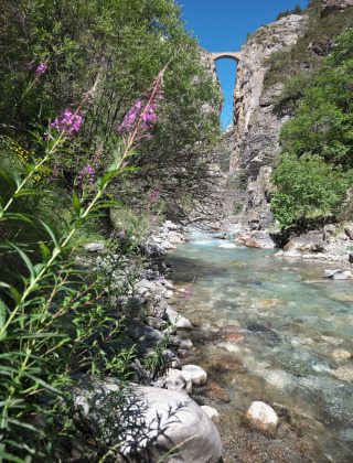Desfiladero montañoso con arroyo cristalino, flores silvestres y un puente de piedra cerca de Méolans-Revel.