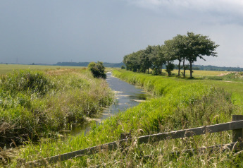 Un corso d'acqua pittoresco con erba e alberi vicino allo chalet Five Waterings nel Regno Unito.