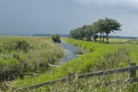 En naturskøn kanal omgivet af grønne marker og træer ved Five Waterings chaleten i Storbritannien.