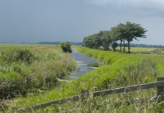 En naturskøn kanal omgivet af grønne marker og træer ved Five Waterings chaleten i Storbritannien.