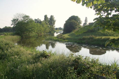 Grønt landskab med en stille flod ved et glampingsted, omgivet af træer og frodige marker.