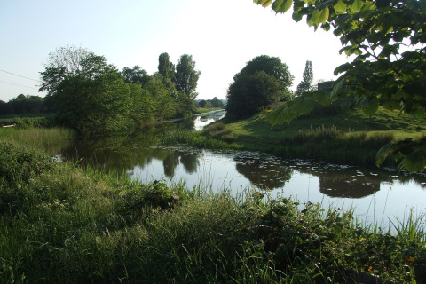 Paesaggio verde con fiume tranquillo presso una sistemazione glamping, circondato da alberi e prati.