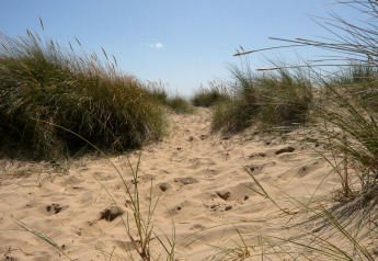 Dune sabbiose con erba sotto cielo azzurro vicino allo chalet Five Waterings, Regno Unito, giorno estivo