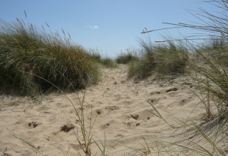 Sandklitter med strandgræs under blå himmel ved Five Waterings chalet, Storbritannien, sommerdag