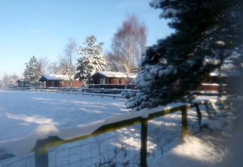 Chalet e alberi innevati a Five Waterings nel Regno Unito durante una luminosa giornata invernale.