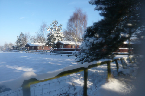 Snedækkede træer og hytter ved Five Waterings Chalet i Storbritannien på en solrig vinterdag.