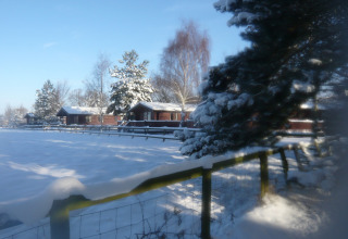 Snedækkede træer og hytter ved Five Waterings Chalet i Storbritannien på en solrig vinterdag.