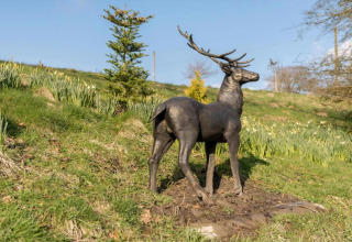 Bronzeskulptur af hjort ved en bakke på græsareal nær chalet 'Five Waterings' i Storbritannien.
