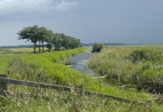 Paesaggio presso Rainbow Petty Lodge, Regno Unito, con fiume, vegetazione rigogliosa, alberi e cielo nuvoloso.