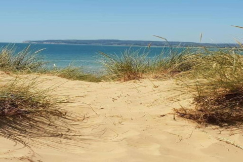 Vista dalle dune di sabbia sul mare, con erba in primo piano e un'isola all'orizzonte sotto cielo sereno.