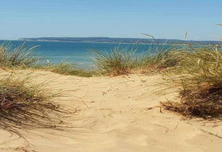 Vista dalle dune di sabbia sul mare, con erba in primo piano e un'isola all'orizzonte sotto cielo sereno.