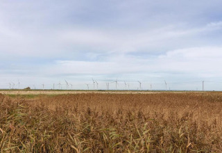 Turbine eoliche in un ampio campo aperto sotto cielo nuvoloso vicino al lodge Rainbow Petty nel Regno Unito.