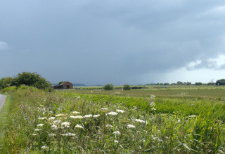 Vista di campi verdi e una strada di campagna vicino al lodge Rainbow Petty sotto un cielo nuvoloso nel Regno Unito.