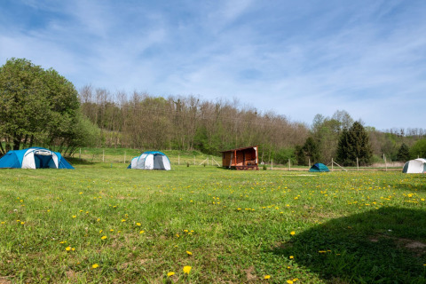 Tenten en houten bungalow op grasveld bij Robinzonski Kamp Hofman in Kroatië, omgeven door bomen en blauwe lucht.