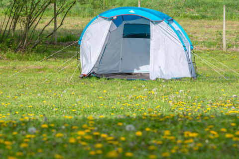 Een lichtgekleurde tent op een grasveld vol gele bloemen bij Robinzonski Kamp Hofman, Kroatië.