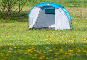 A light-colored tent set up on a grassy field with yellow flowers at Robinzonski Kamp Hofman, Croatia.