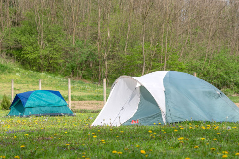 Twee tenten op een bloemenweide bij Robinzonski Kamp Hofman mobilhome in Kroatië, met bos op de achtergrond.