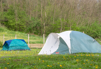 Due tende su un prato fiorito presso Robinzonski Kamp Hofman mobil home in Croazia, circondate da bosco.