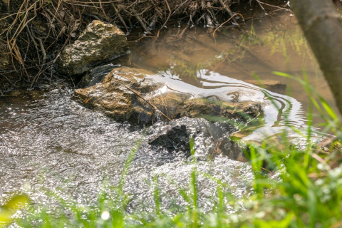 Klein beekje met stromend water en stenen bij Robinzonski Kamp Hofman, Kroatië.
