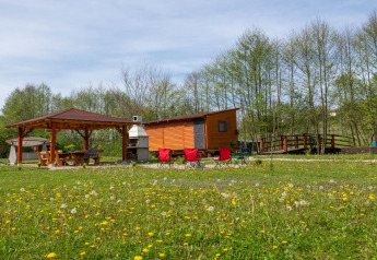Mobile home at Robinzonski Kamp Hofman with covered patio, wildflowers, and trees in a peaceful setting.