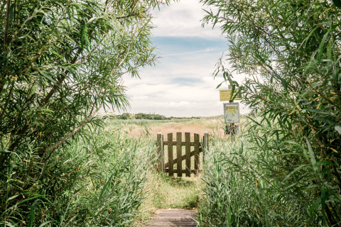 Een houten poort tussen groen opent naar een veld onder een blauwe lucht aan een lodge.