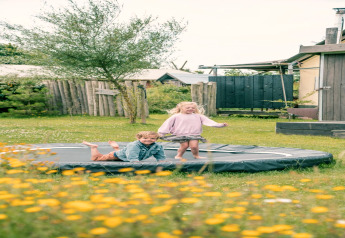Due bambini giocano su un trampolino in un giardino con fiori selvatici vicino a un'accogliente lodge estiva.