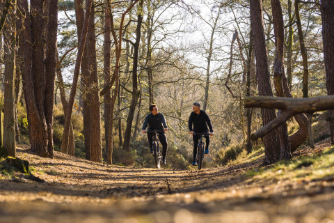 Dos personas montan en bicicleta por un sendero soleado en Lodge at Woodz Lodges, Bélgica, rodeados de árboles altos.