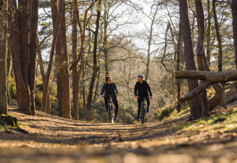 Due persone pedalano su un sentiero soleggiato nel bosco al Lodge at Woodz Lodges in Belgio, circondate da alberi.