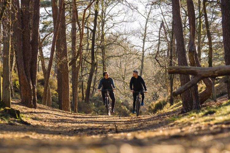 Dos personas montan en bicicleta por un sendero soleado en Lodge at Woodz Lodges, Bélgica, rodeados de árboles altos.
