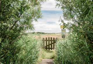 Ingresso a una riserva naturale con cancello di legno e vegetazione al Juttershut Duynpark, Callantsoog.