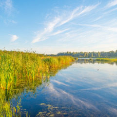 Lago pintoresco rodeado de naturaleza en un parque vacacional con glamping, bajo un cielo despejado.
