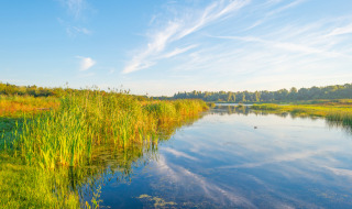 Lago pintoresco rodeado de naturaleza en un parque vacacional con glamping, bajo un cielo despejado.