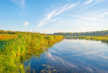 Lago pintoresco rodeado de naturaleza en un parque vacacional con glamping, bajo un cielo despejado.