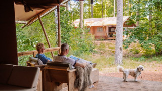 Dos personas se relajan en la terraza de una tienda safari Veluwe Lodge con un pequeño perro y naturaleza.