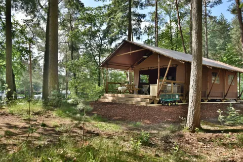 Safari tent Veluwe Lodge at Campsite Samoza in the Netherlands, nestled in a forested natural setting.