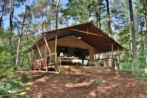 Veluwe Lodge safari tent at Camping Samoza in the Netherlands, surrounded by green forest and trees.