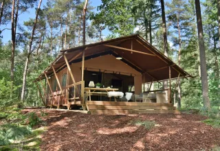 Veluwe Lodge safari tent at Camping Samoza in the Netherlands, surrounded by green forest and trees.
