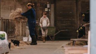 Une femme et un enfant nourrissent des animaux dans une grange à Feather Down De Oude Melkstal, Brabant-Septentrional, Pays-Bas.