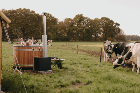 Kinder planschen im hölzernen Hot Tub auf einer Wiese mit Kühen im Feather Down De Oude Melkstal, Niederlande.