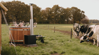 Des enfants s’amusent dans un bain nordique en bois près de vaches à Feather Down De Oude Melkstal, Pays-Bas.