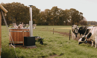 Kinderen spetteren in een houten hottub naast koeien bij Feather Down De Oude Melkstal in Nederland.