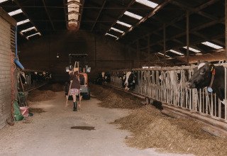 A person works inside the cow barn at Feather Down De Oude Melkstal holiday park in North Brabant, Netherlands.